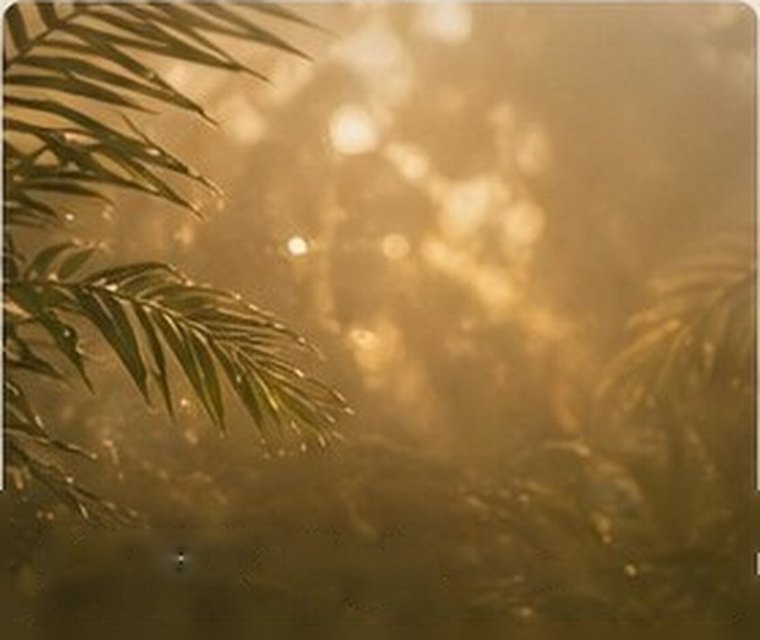 Warm light through tropical canopy